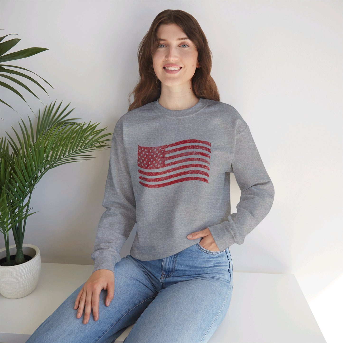 USA Sweatshirt