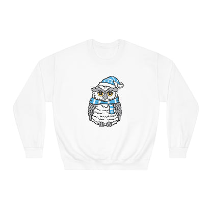 Winter Owl Sweatshirt